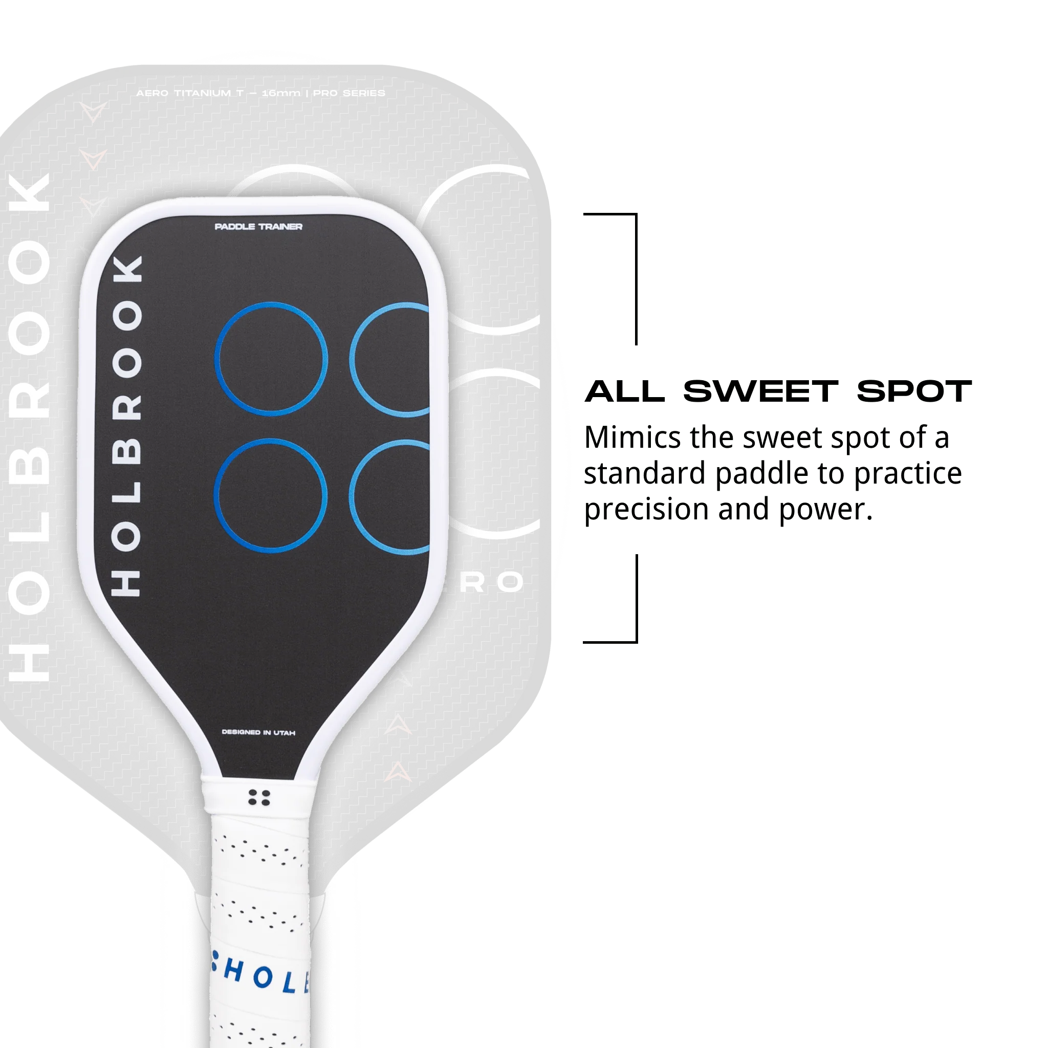 Paddle Trainer - Image 5